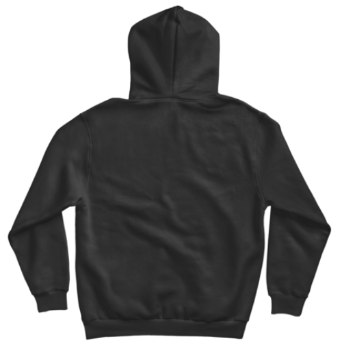 HOODIE EVERYTHING NEEDS MONEY